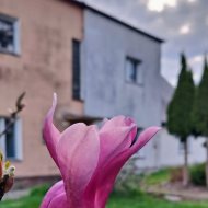 Dom na sprzedaż